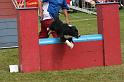 Staats2010 244